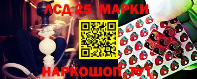 крисы Анапа