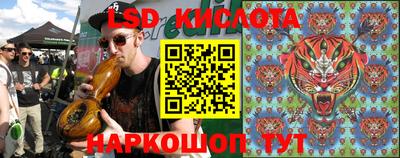 крисы Анапа