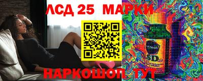 крисы Анапа