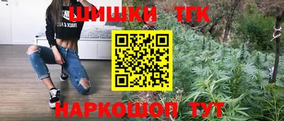 крисы Анапа